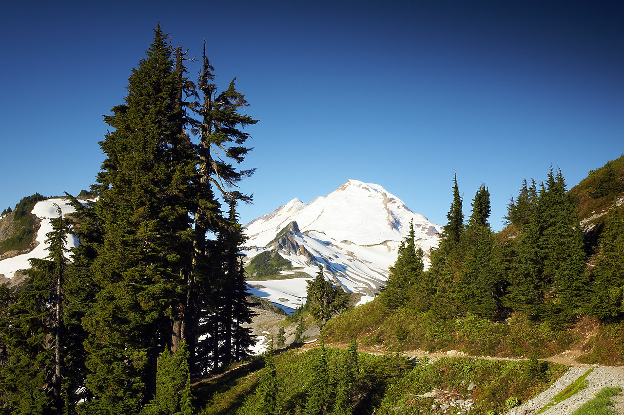 #070327-1 - Mount Baker, Washington, USA