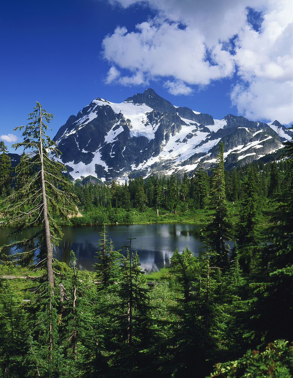 #070333-2 - Mt. Shuksan, North Cascades National Park, Washington, USA