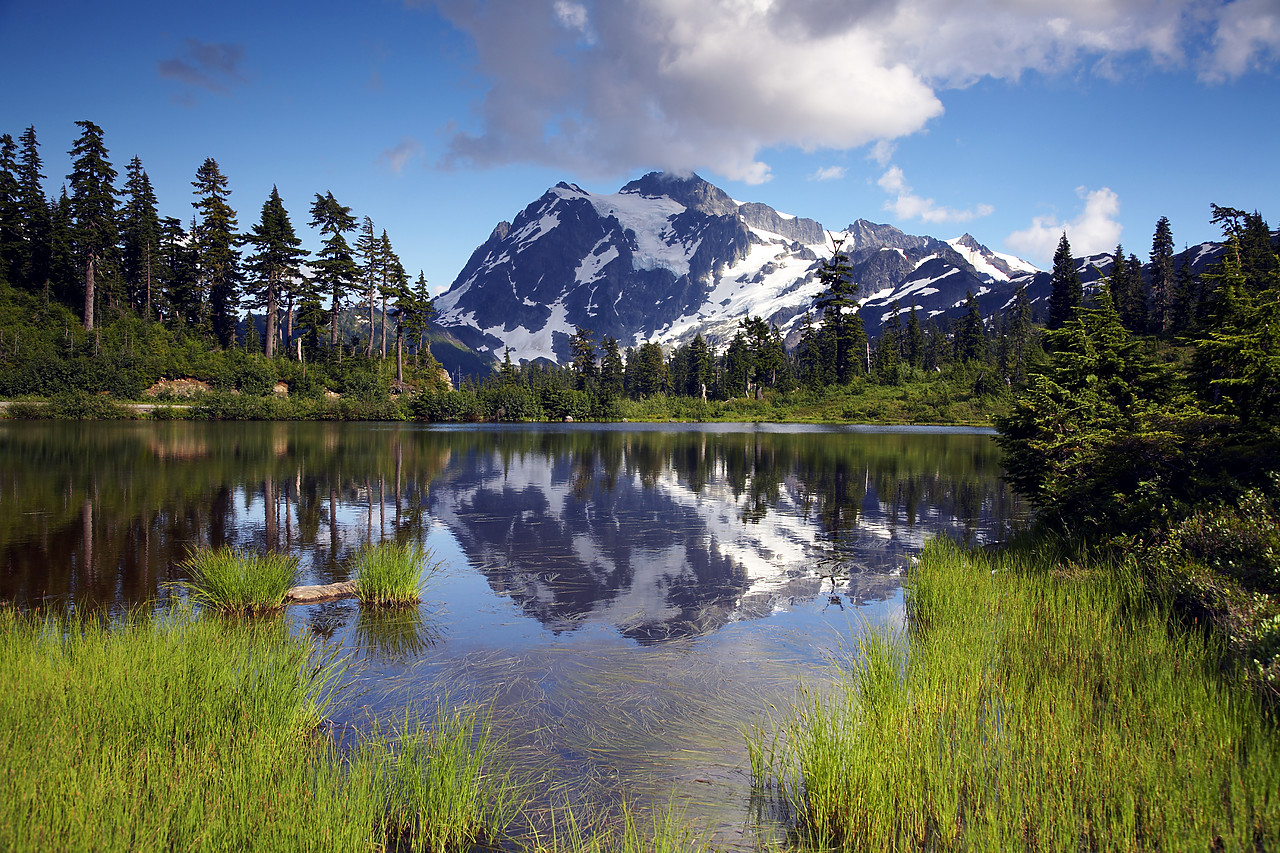 #070334-1 - Mt. Shuksan, North Cascades National Park, Washington, USA
