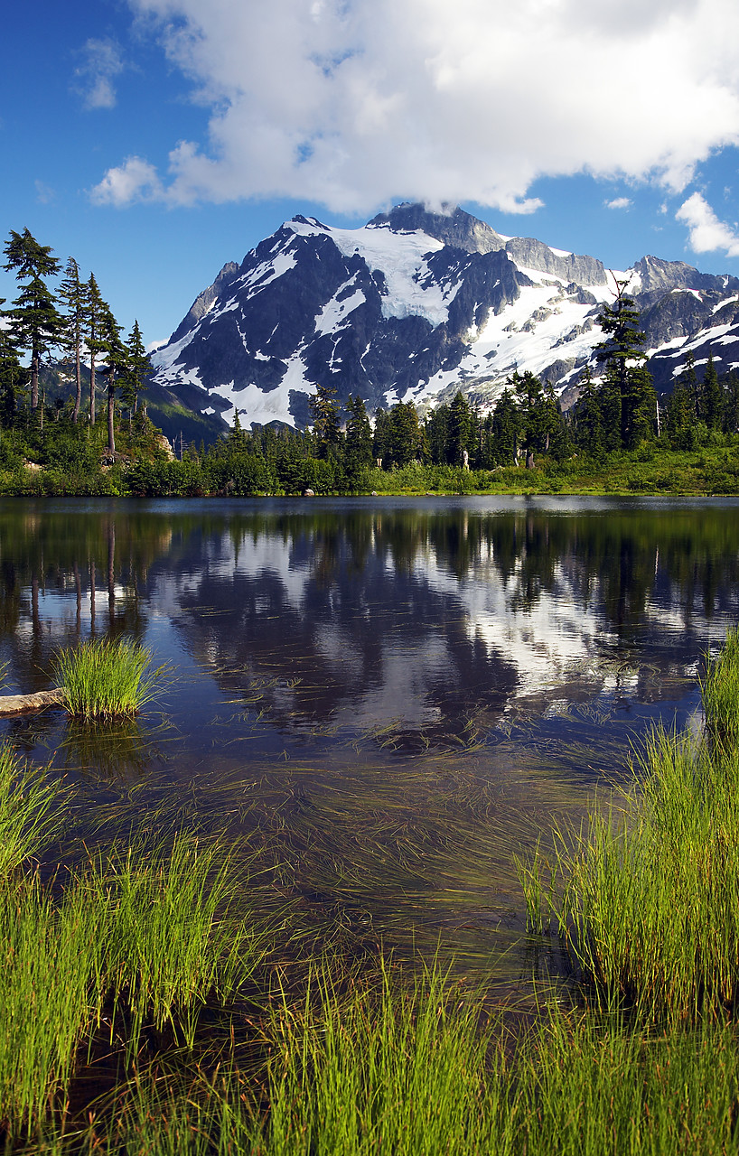 #070334-2 - Mt. Shuksan, North Cascades National Park, Washington, USA