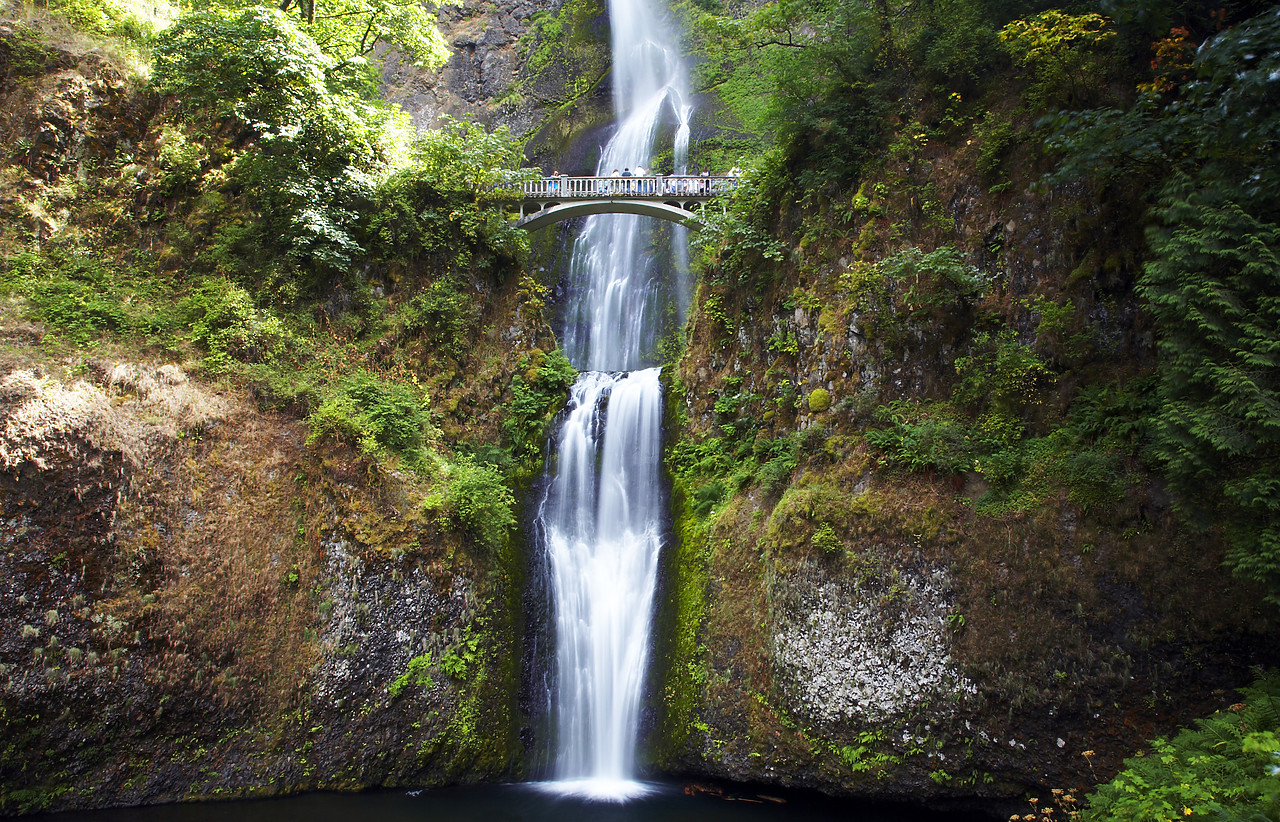 #070335-1 - Multnomah Falls, Columbia Gorge, Oregon, USA