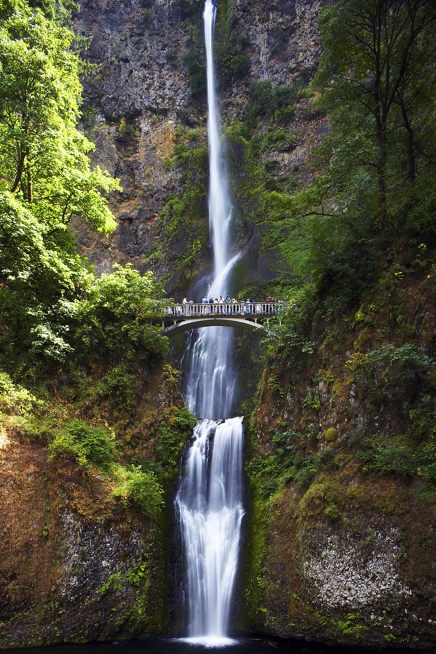 #070335-2 - Multnomah Falls, Columbia Gorge, Oregon, USA