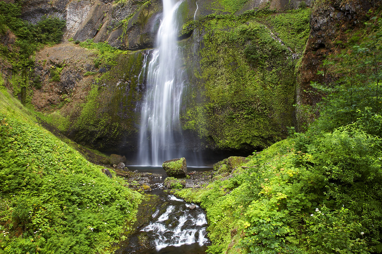 #070336-1 - Multnomah Falls, Columbia Gorge, Oregon, USA
