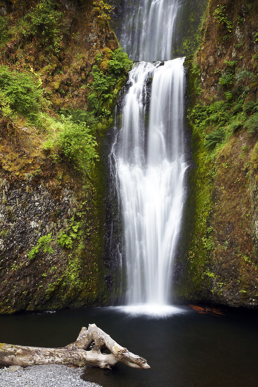 #070337-1 - Multnomah Falls, Columbia Gorge, Oregon, USA