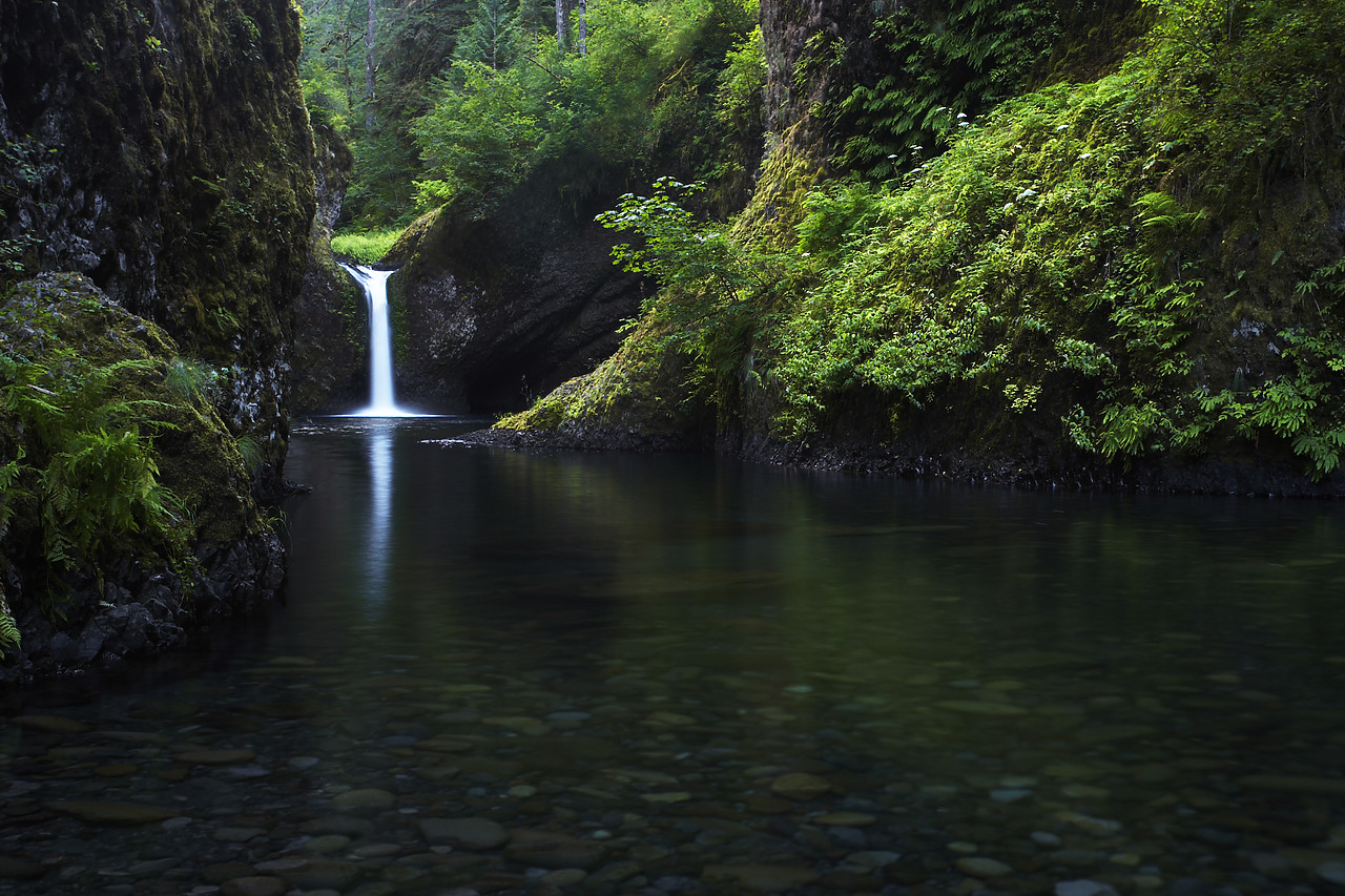 #070338-1 - Punch Bowl Fall, Eagle Creek, Columbia Gorge, Oregon, USA