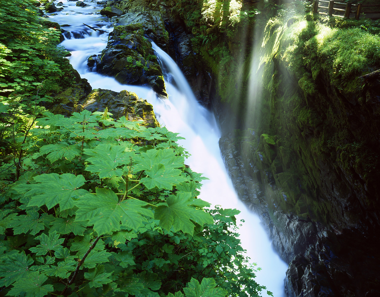 #070341-1 - Sol Duc Falls, Olympic National Park, Washington, USA