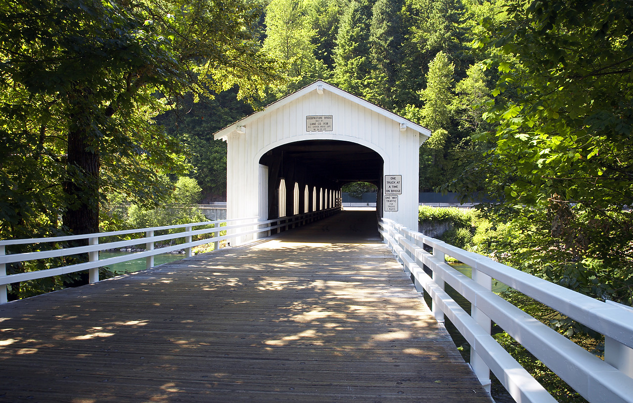 #070346-1 - Covered Bridge over McKenzie River, Vida, Oregon, USA