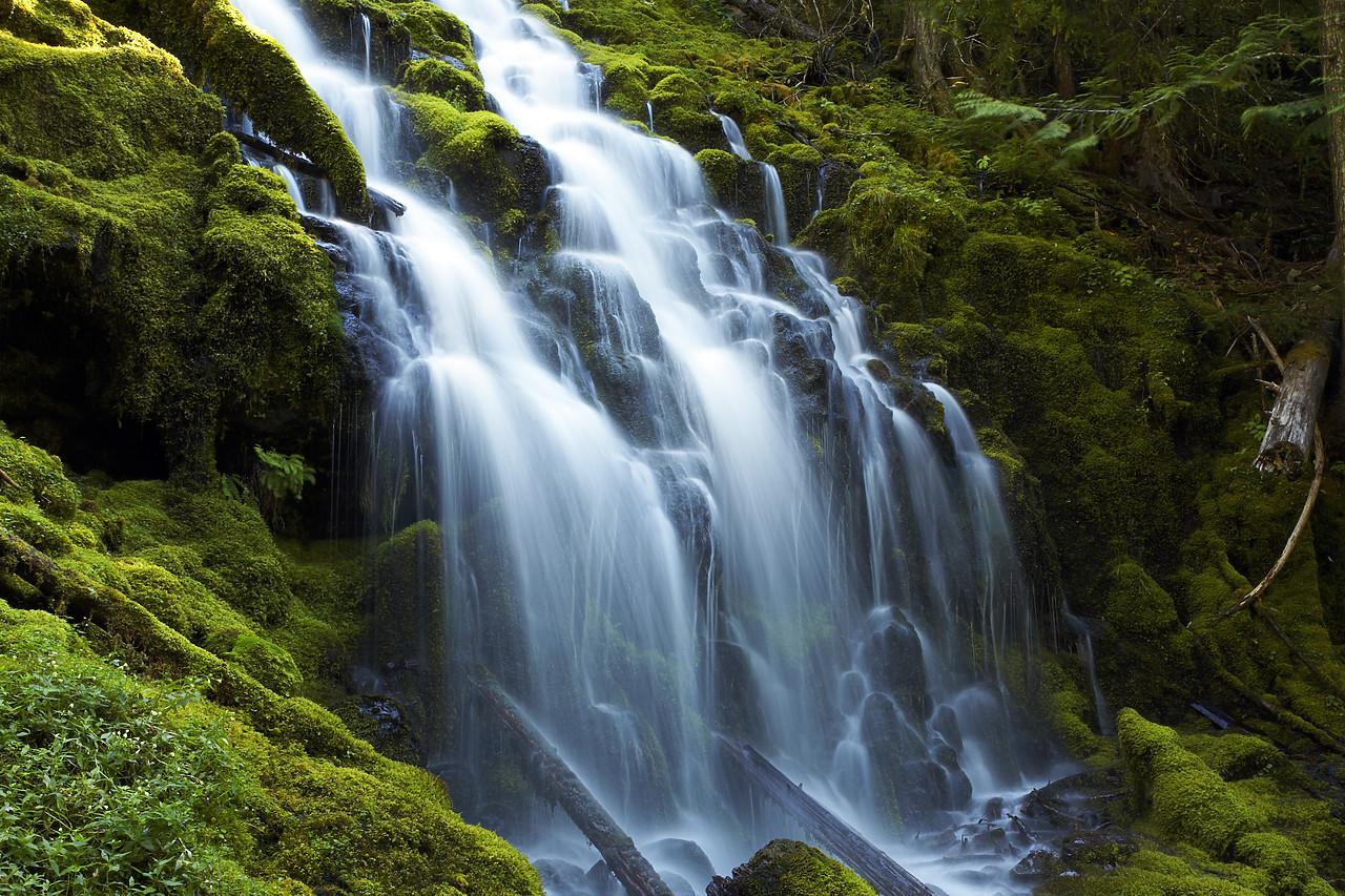 #070349-1 - Proxy Falls, Three Sisters Wilderness Area, Oregon, USA