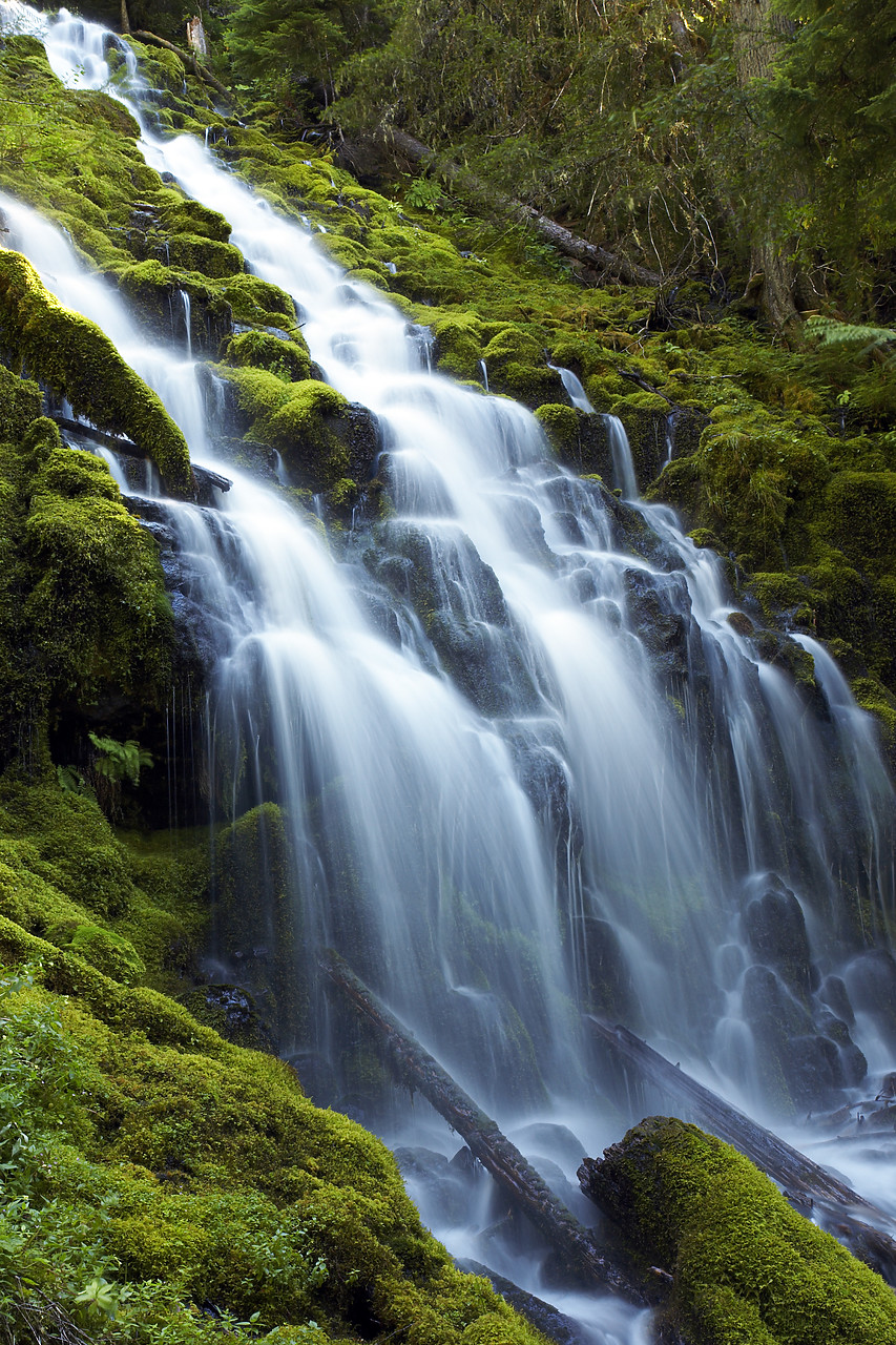 #070349-2 - Proxy Falls, Three Sisters Wilderness Area, Oregon, USA