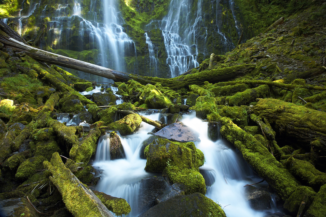 #070350-1 - Proxy Falls, Three Sisters Wilderness Area, Oregon, USA