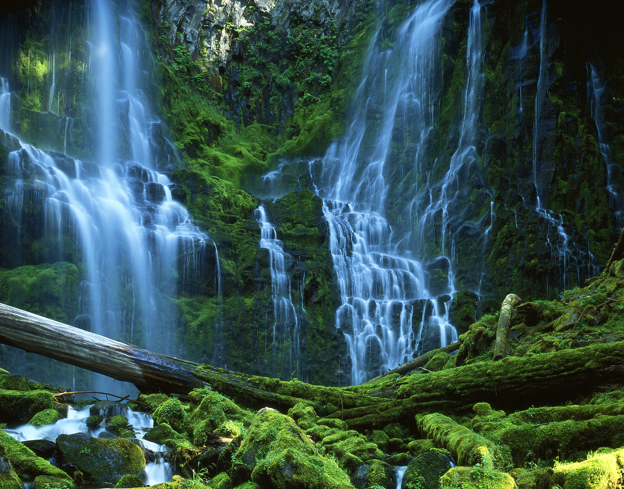 #070351-1 - Proxy Falls, Three Sisters Wilderness Area, Oregon, USA