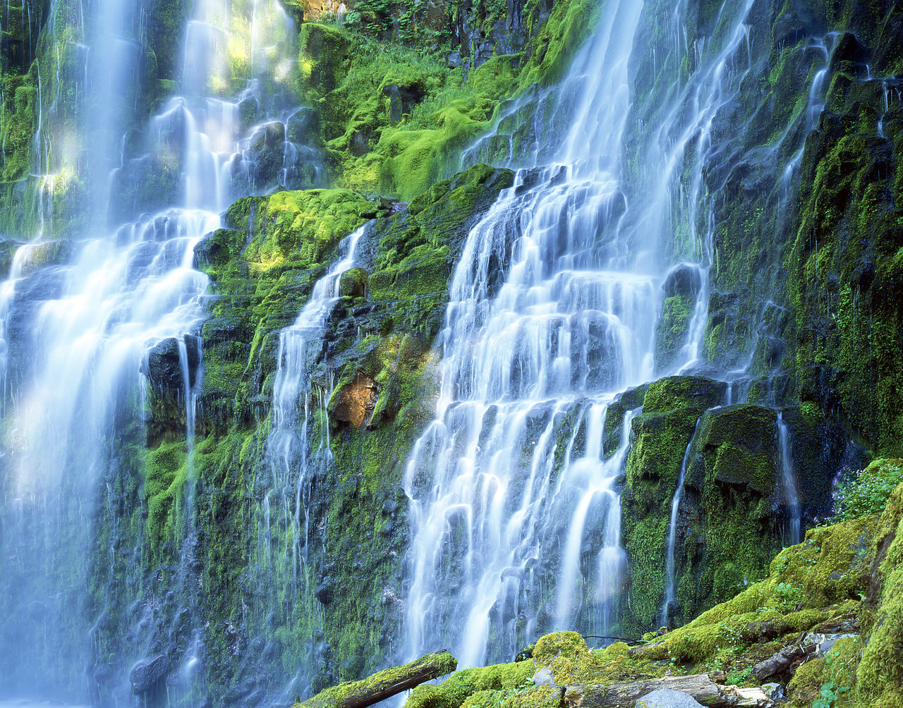 #070352-1 - Proxy Falls, Three Sisters Wilderness Area, Oregon, USA