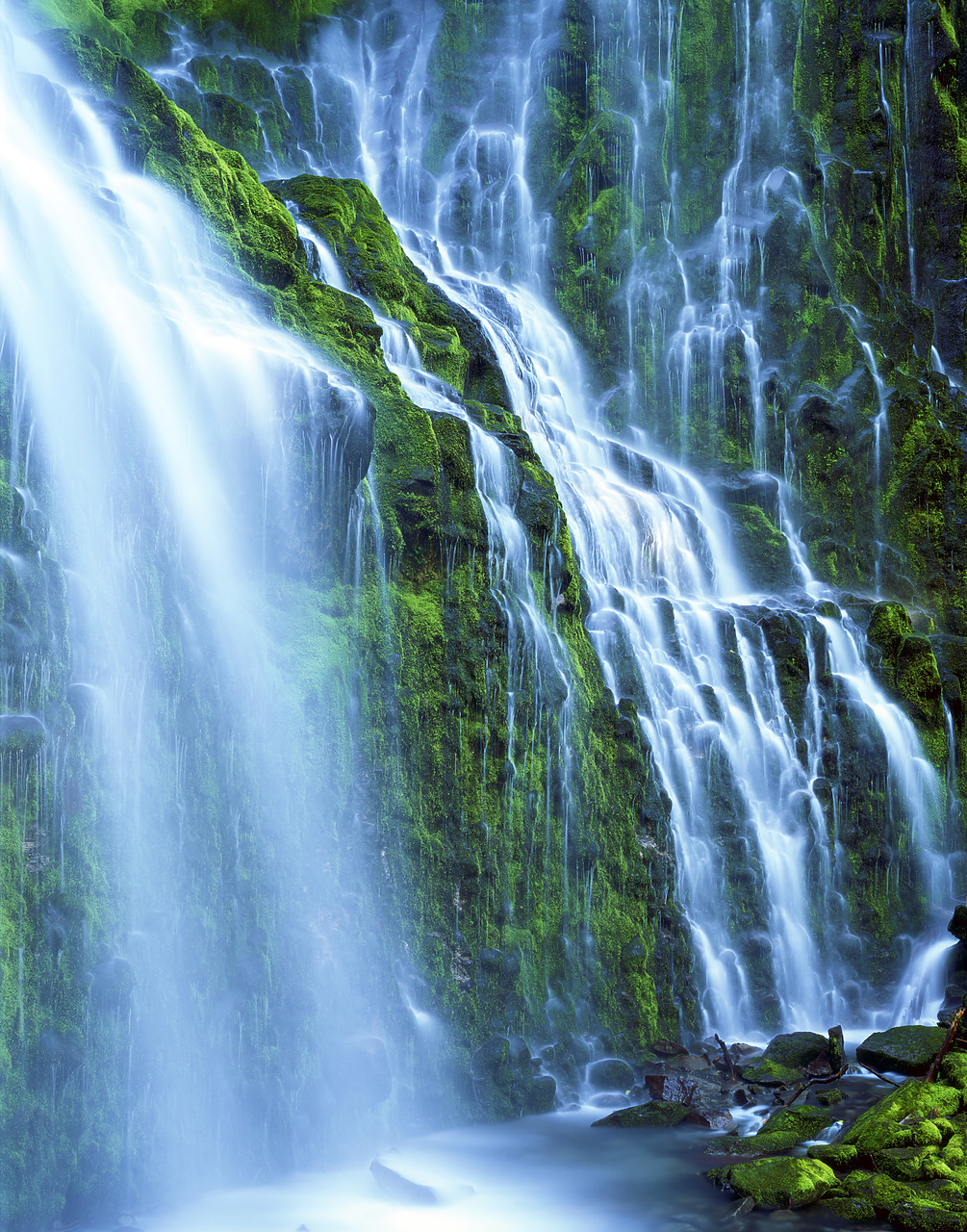 #070353-2 - Proxy Falls, Three Sisters Wilderness Area, Oregon, USA