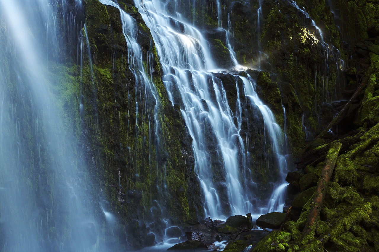#070354-1 - Proxy Falls, Three Sisters Wilderness Area, Oregon, USA