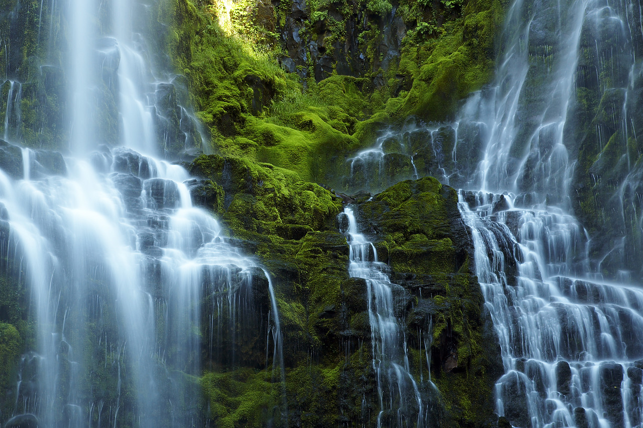 #070356-1 - Proxy Falls, Three Sisters Wilderness Area, Oregon, USA