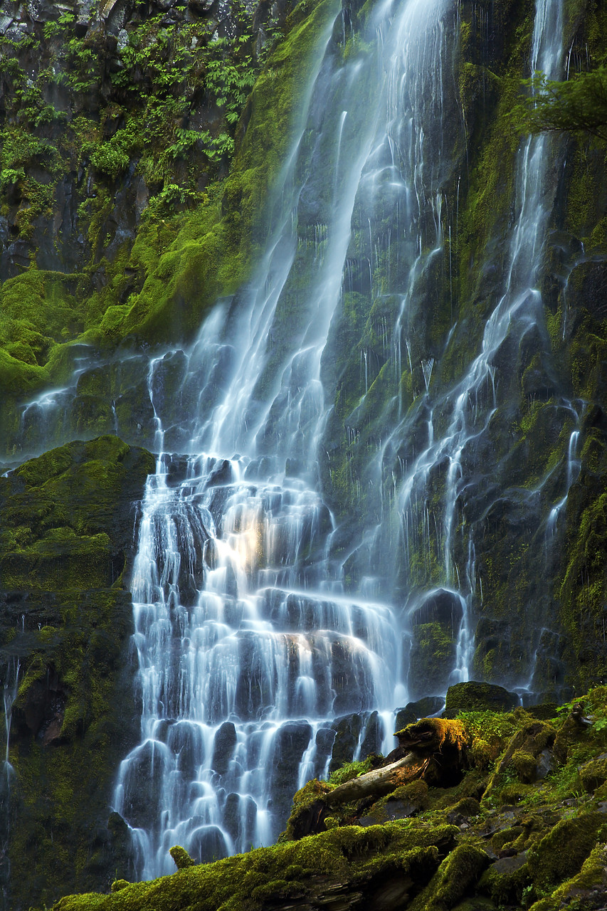 #070357-1 - Proxy Falls, Three Sisters Wilderness Area, Oregon, USA