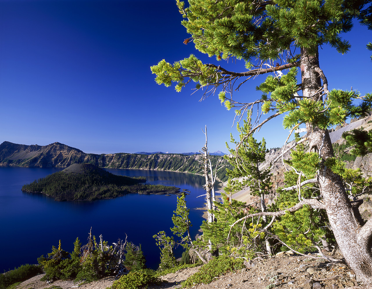 #070359-1 - Crater Lake, Crater Lake National Park, Oregon, USA