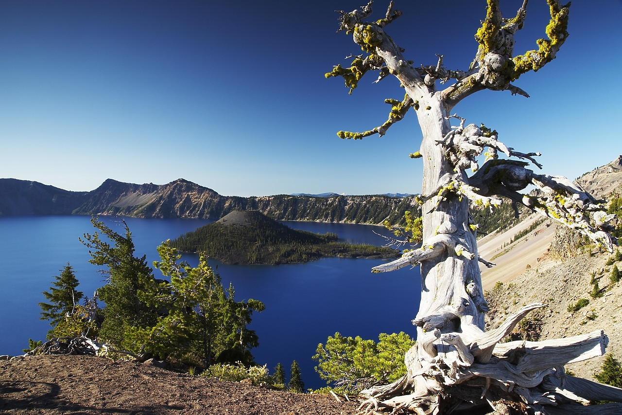 #070360-1 - Crater Lake, Crater Lake National Park, Oregon, USA