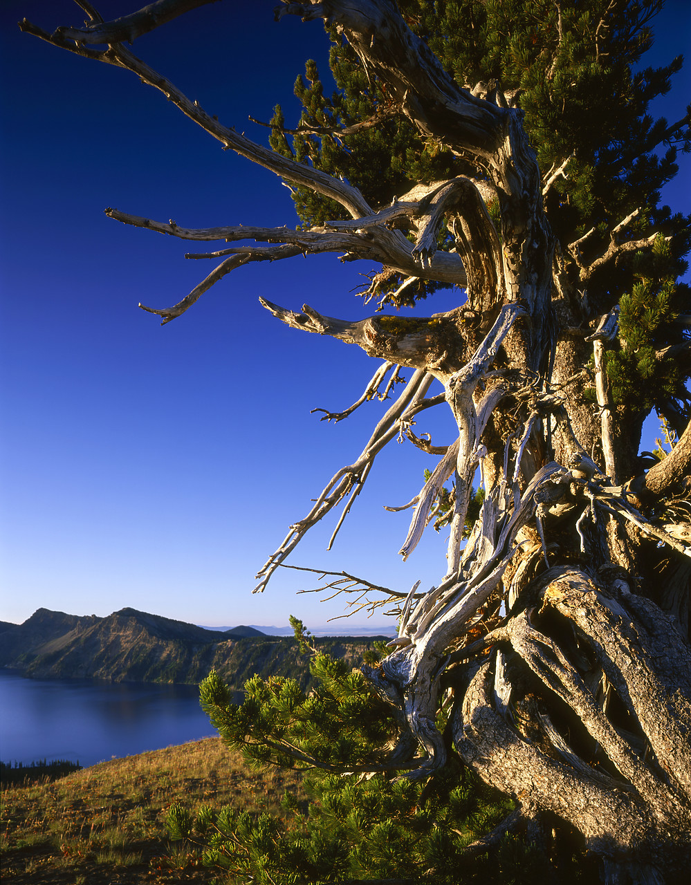 #070361-1 - Crater Lake, Crater Lake National Park, Oregon, USA