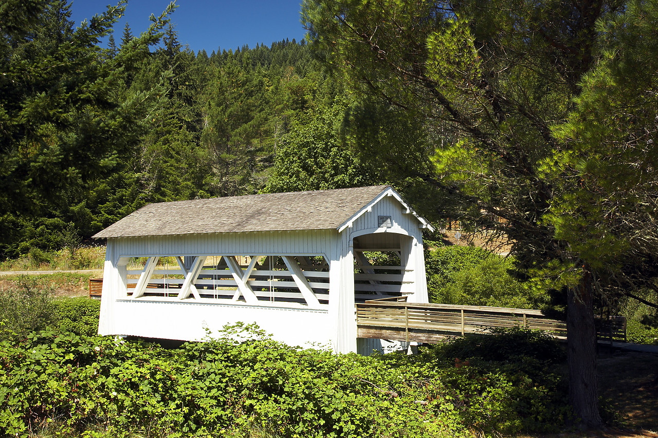 #070362-1 - Sandy Creek Covered Bridge, near Remote, Oregon, USA