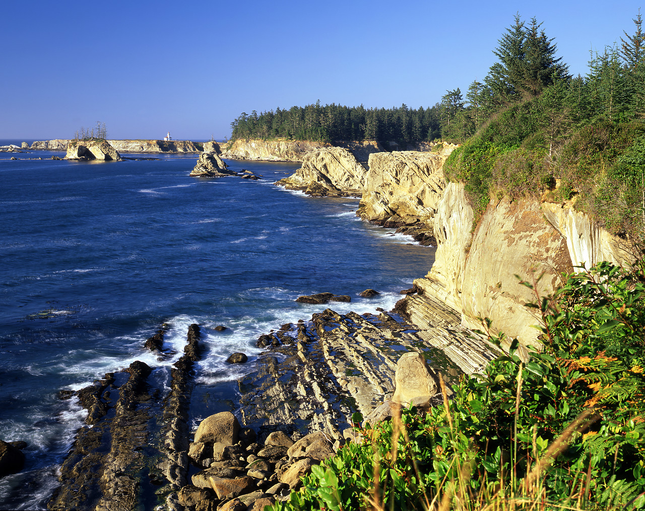 #070363-1 - Coastline at Shore Acres State Park, near Coos Bay, Oregon, USA