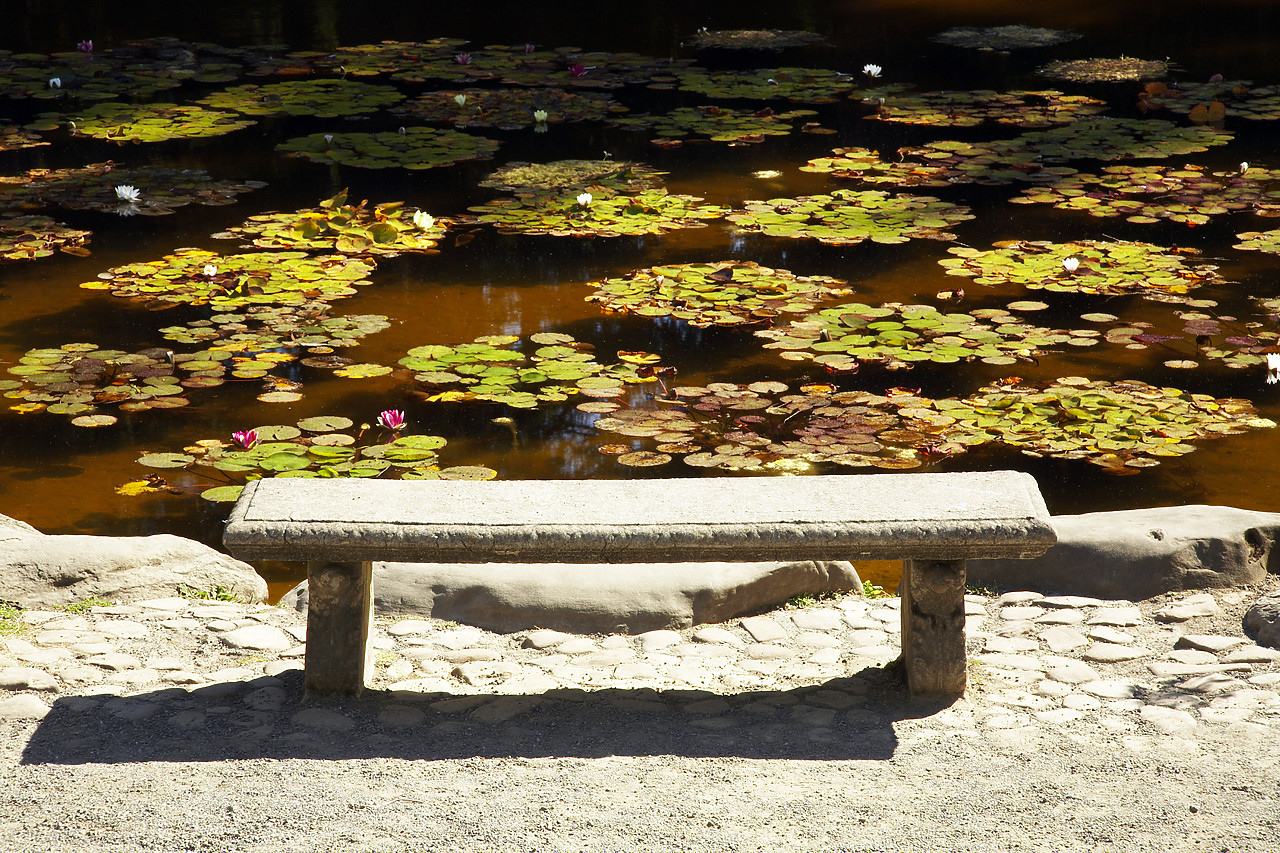 #070364-2 - Bench & Lily Pond, Shore Acres State Park, near Coos Bay, Oregon, USA