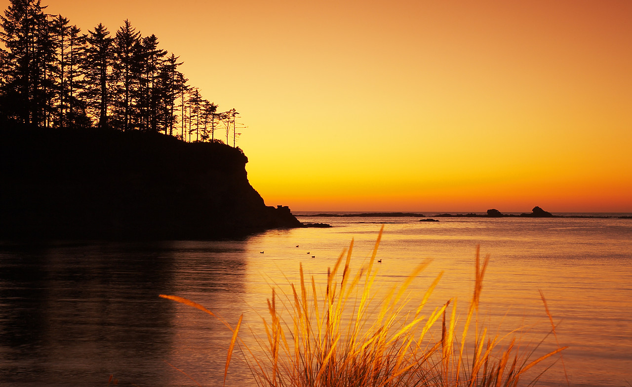 #070367-1 - Sunset Bay, Sunset Bay State Park, Oregon, USA