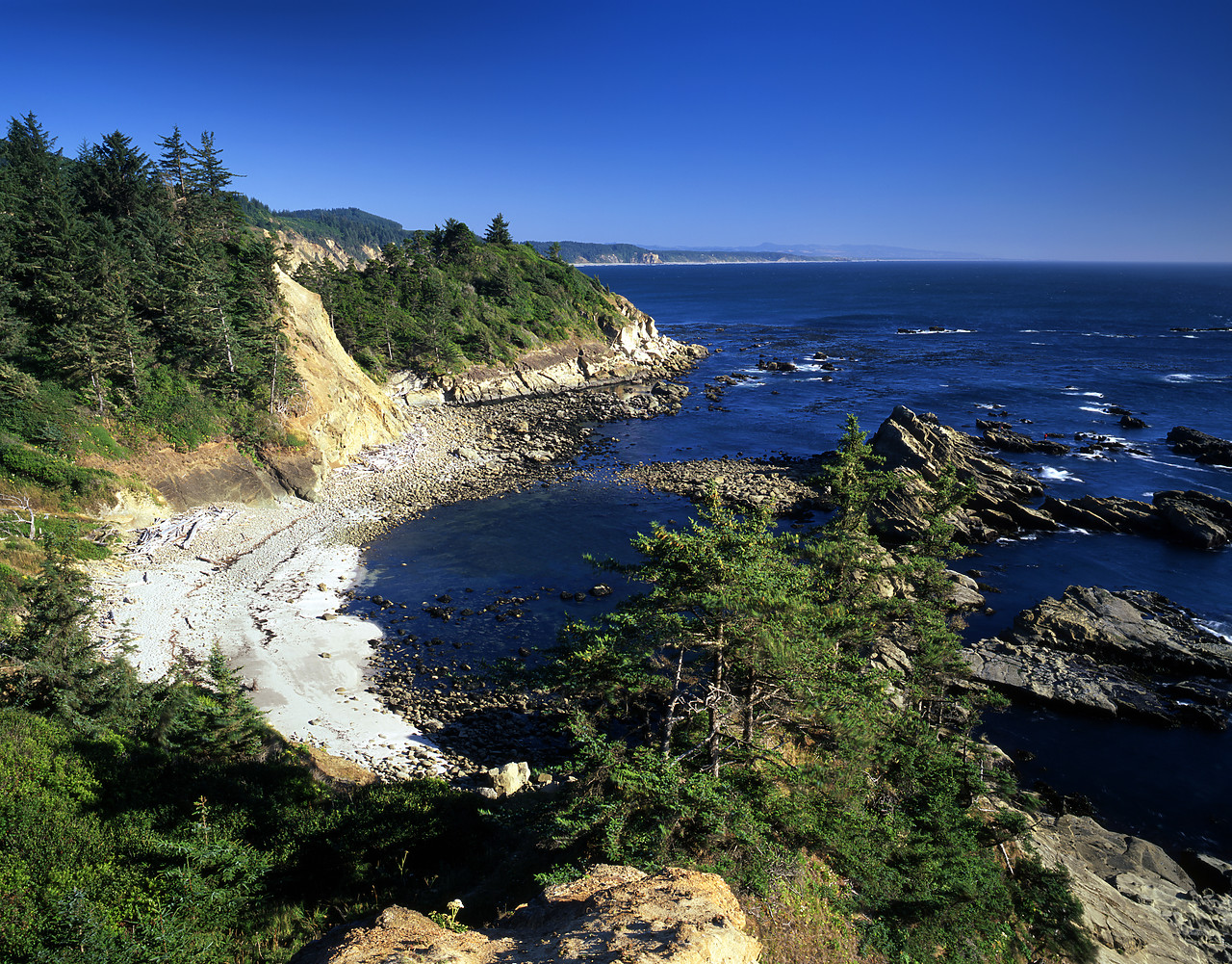 #070368-1 - Coastline at Shore Acres State Park, near Coos Bay, Oregon, USA