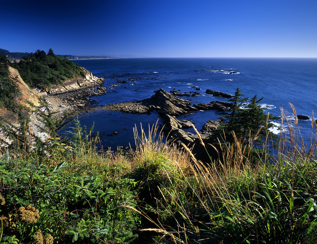 #070369-1 - Coastline at Shore Acres State Park, near Coos Bay, Oregon, USA