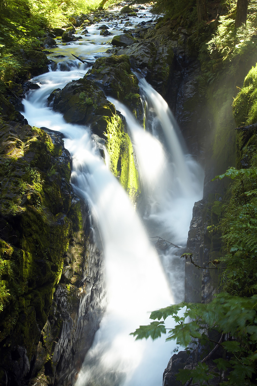 #070414-1 - Sol Duc Falls, Olympic National Park, Washington, USA