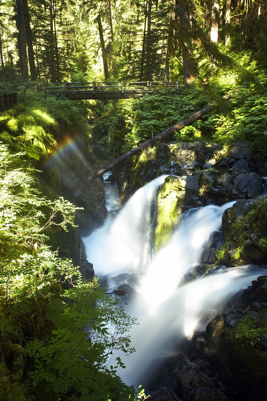 #070415-1 - Sol Duc Falls, Olympic National Park, Washington, USA