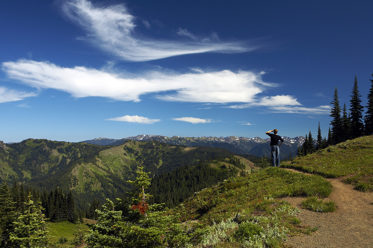 #070418-1 - Young Man looking over Alpine Valley, Hurricane Ridge, Olympic National Park, Washington, USA