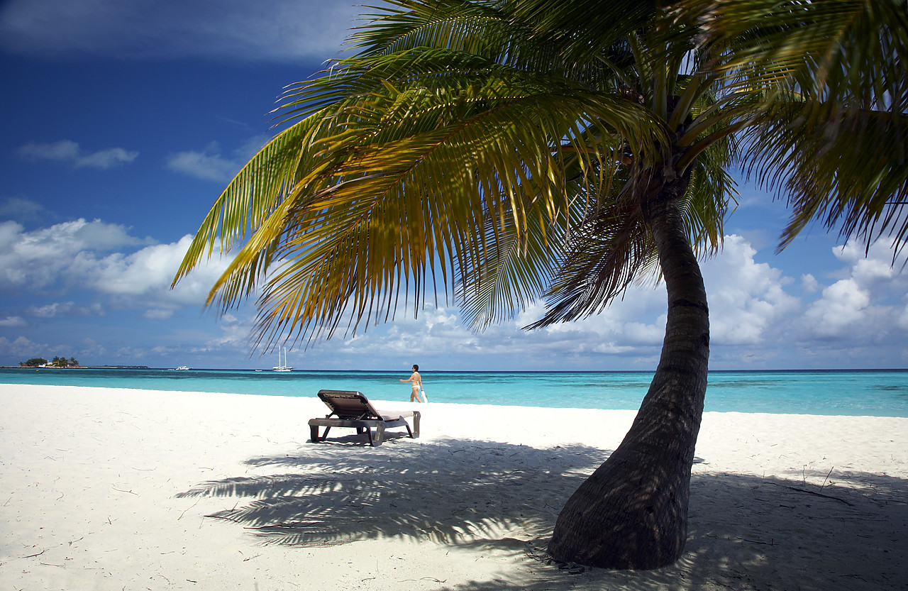 #080046-1 - Palm Tree & Deck Chair on Beach, Kuredu, Maldives
