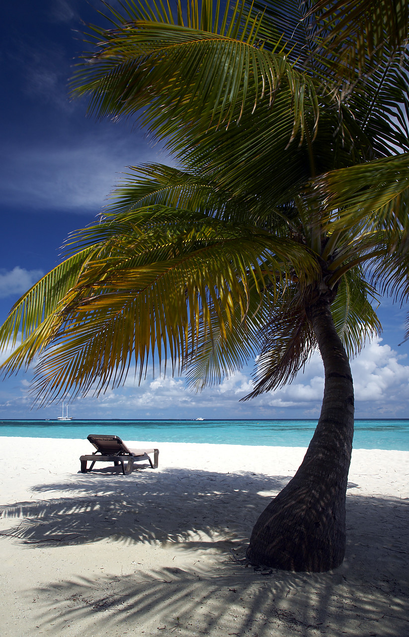 #080046-2 - Palm Tree & Deck Chair on Beach, Kuredu, Maldives