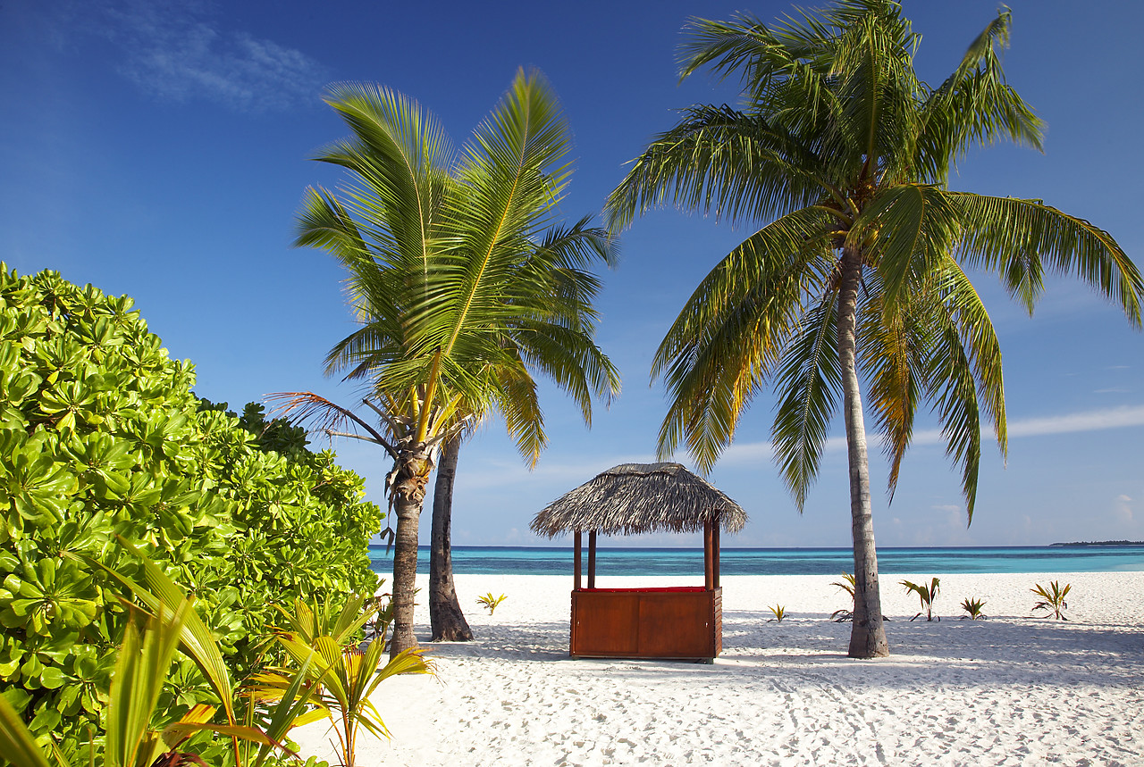 #080053-1 - Thatched Beach Bar & Palm Trees, Kuredu, Maldives