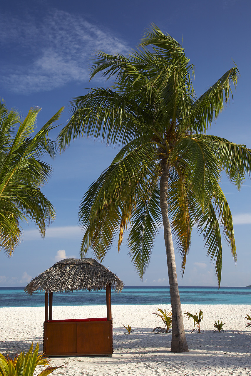 #080053-2 - Thatched Beach Bar & Palm Trees, Kuredu, Maldives