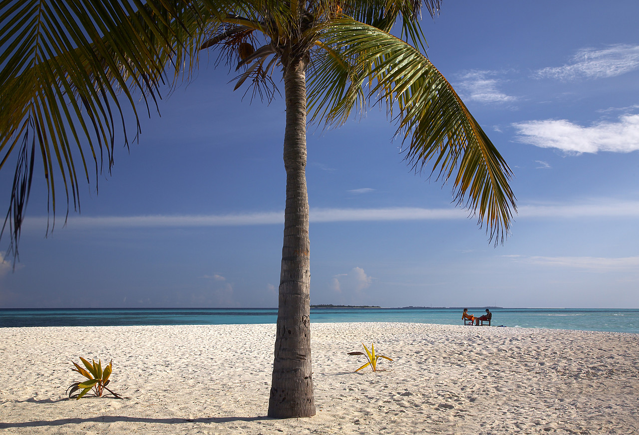 #080054-1 - Couple & Palm Tree on Beach, Kuredu, Maldives