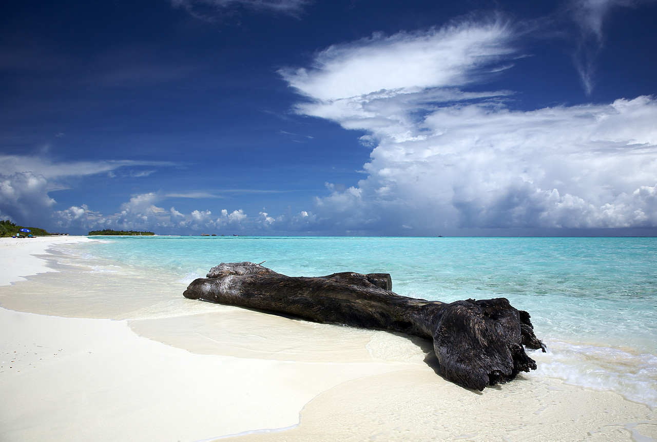 #080063-1 - Weathered Driftwood on Beach, Maldives