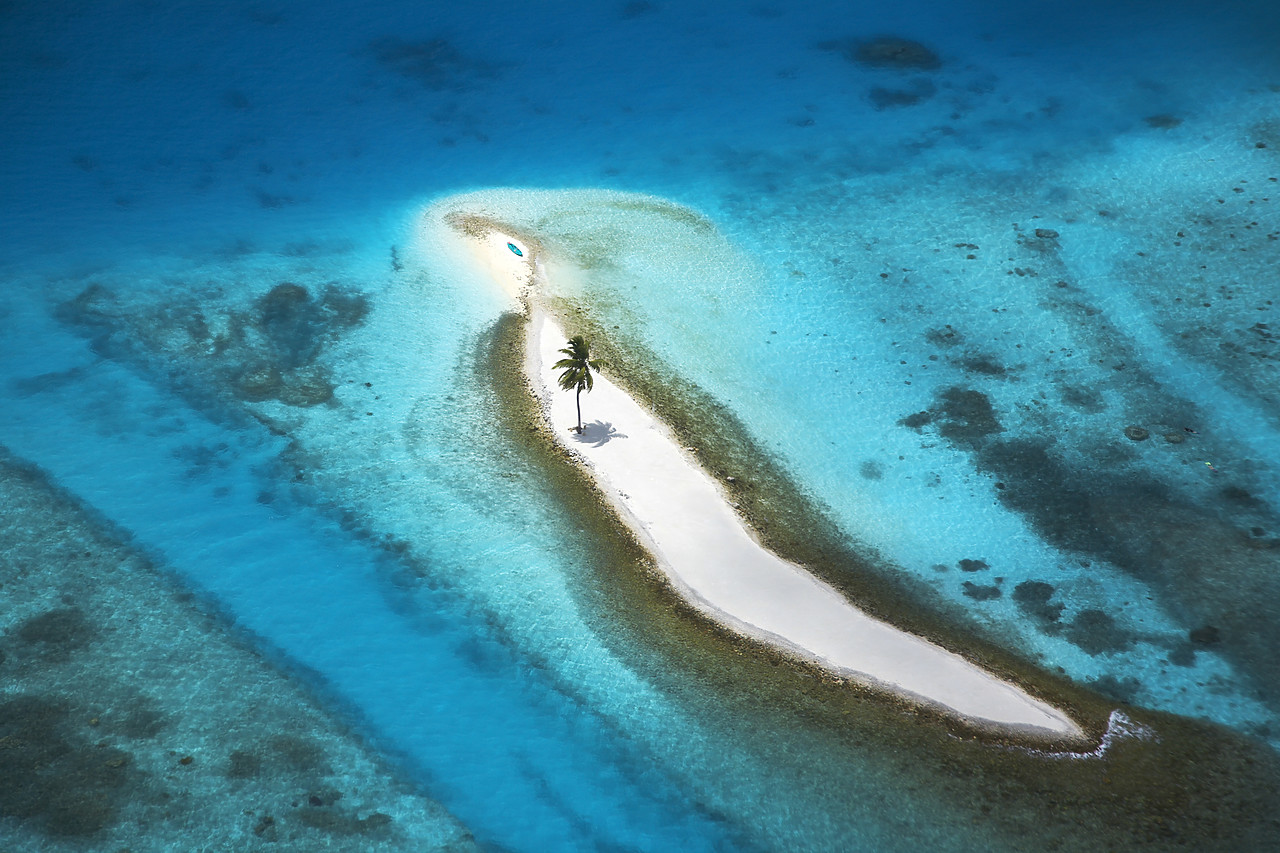 #080074-1 - Aerial View over Island with Lone Palm Tree, Maldives, Indian Ocean