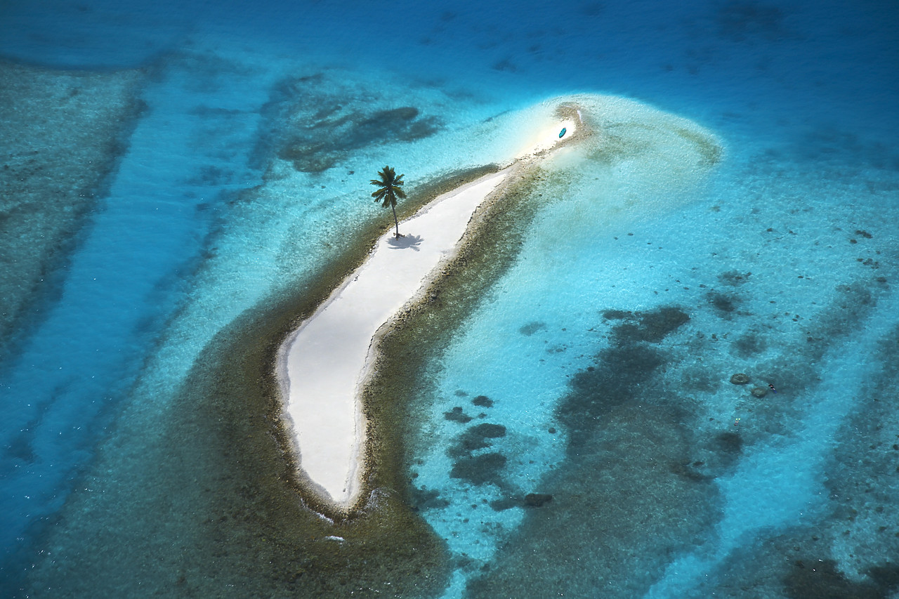 #080075-1 - Aerial View over Island with Lone Palm Tree, Maldives, Indian Ocean