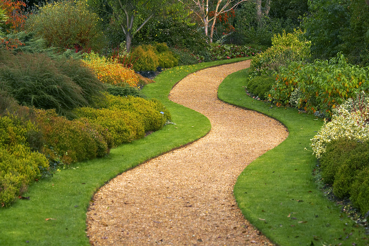 #080266-1 - Winding Path Through Garden, Cambridge Botanical Gardens, Cambridgeshire, England