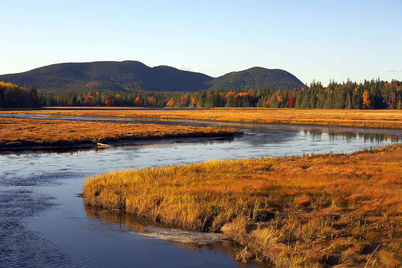 #080285-1 - Bass Harbor Marsh in Autumn, Acadia National Park, Maine, USA