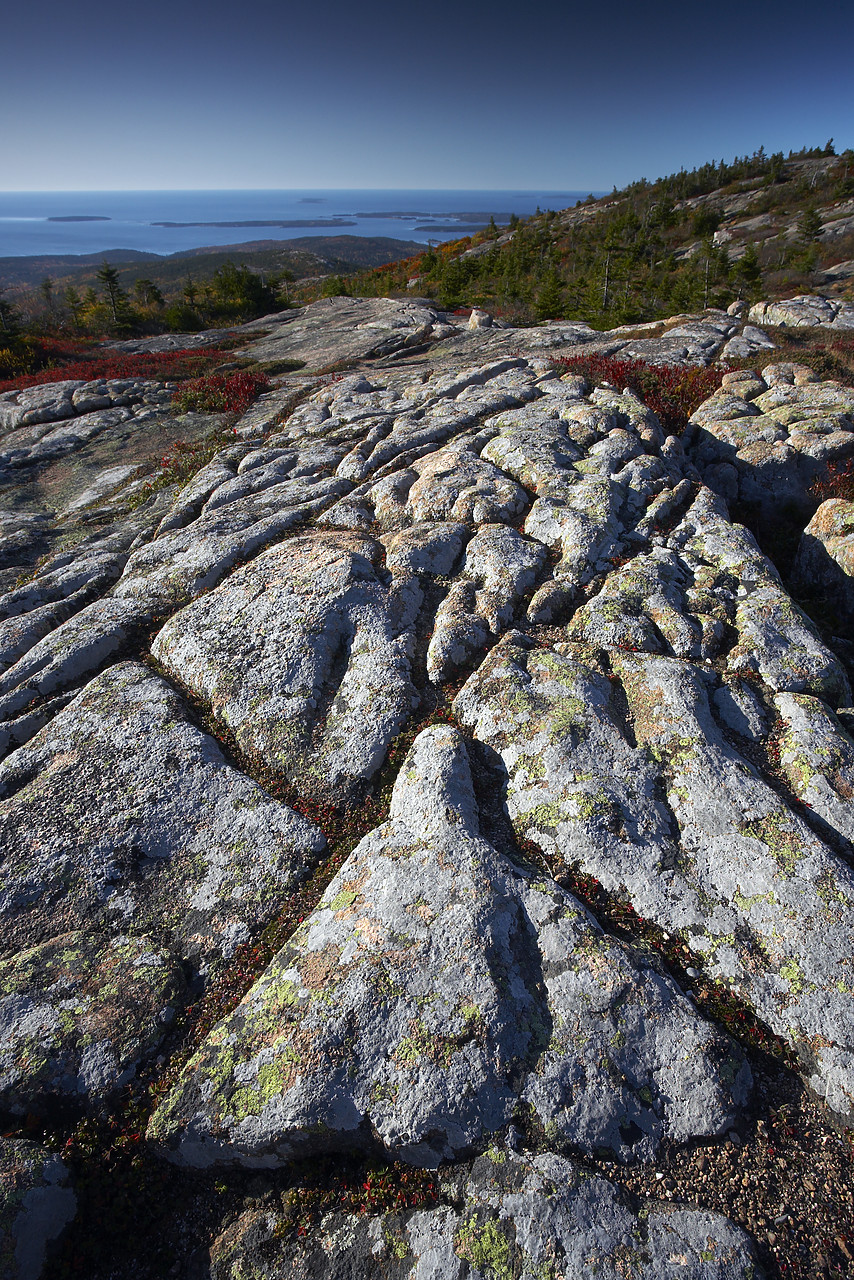 #080288-2 - Glacial Striations on Cadillac Mountain, Acadia National Park, Maine, USA