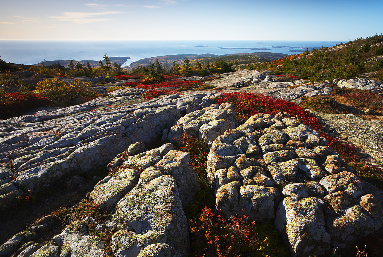 #080289-1 - Glacial Rock Striations on Cadillac Mountain, Acadia National Park, Maine, USA