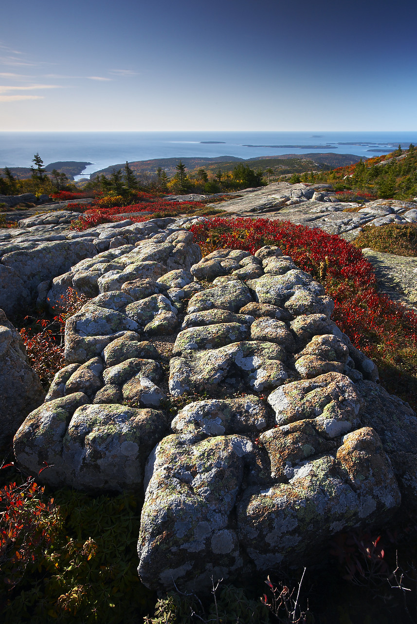 #080289-2 - Glacial Rock Striations on Cadillac Mountain, Acadia National Park, Maine, USA