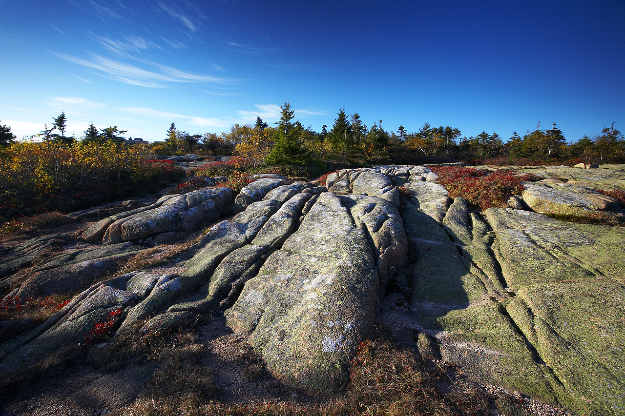 #080290-1 - Glacial Rock Striations on Cadillac Mountain, Acadia National Park, Maine, USA