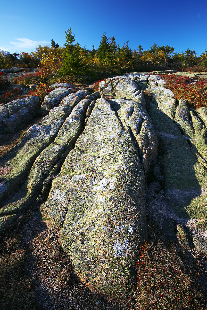 #080290-2 - Glacial Rock Striations on Cadillac Mountain, Acadia National Park, Maine, USA