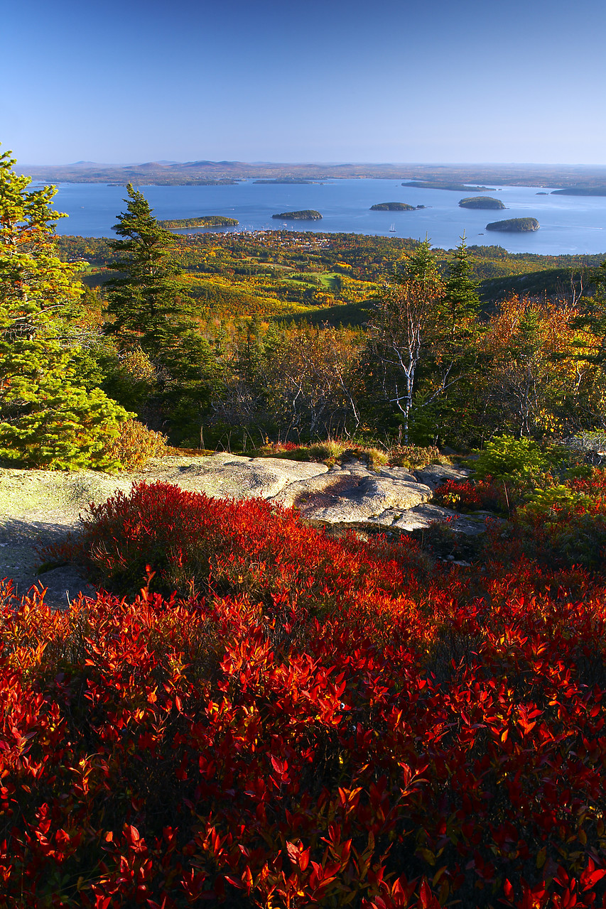 #080291-2 - View from Cadillac Mountain in Autumn, Acadia National Park, Maine, USA