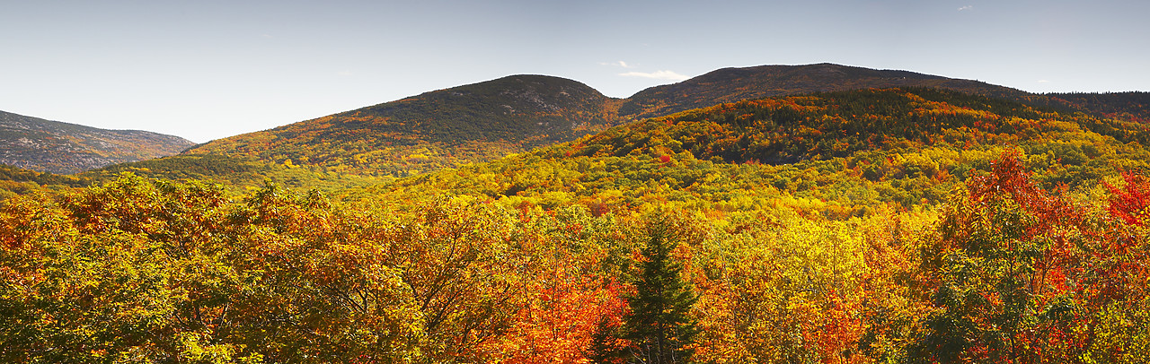 #080295-1 - Cadillac Mountain in Autumn, Acadia National Park, Maine, USA