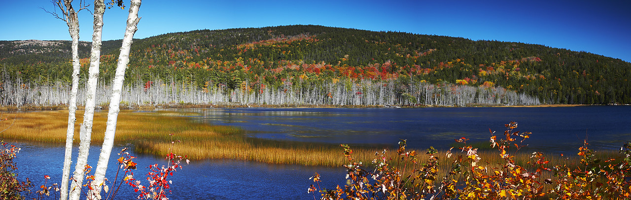 #080296-1 - Upper Hadlock Pond in Autumn, Acadia National Park, Maine, USA